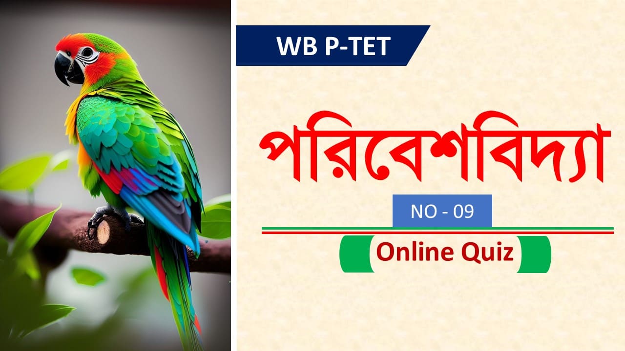 WB Primary Tet Mock Test 09 Envs