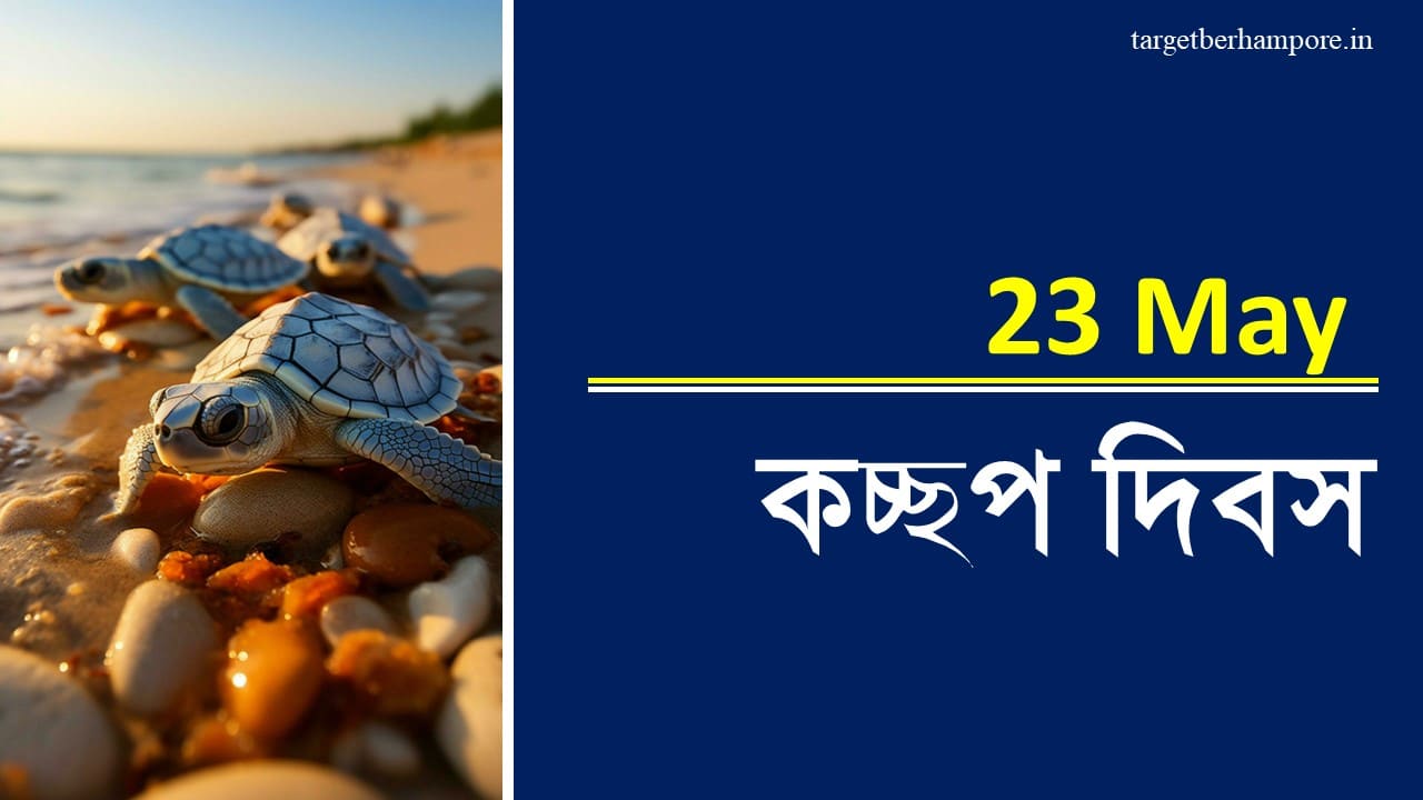 World Turtle Day 23 May 2024 in Bengali