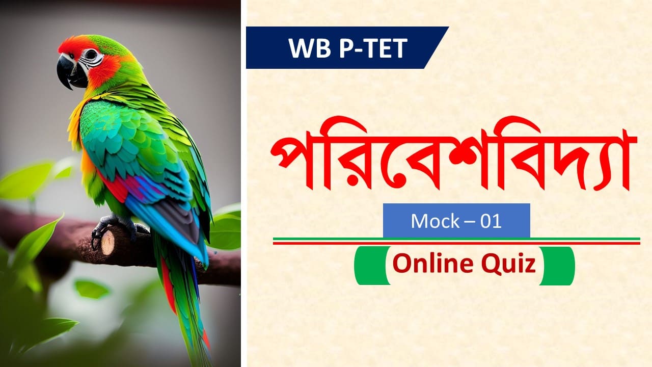 WB 2024 Primary Tet Free Mock 01