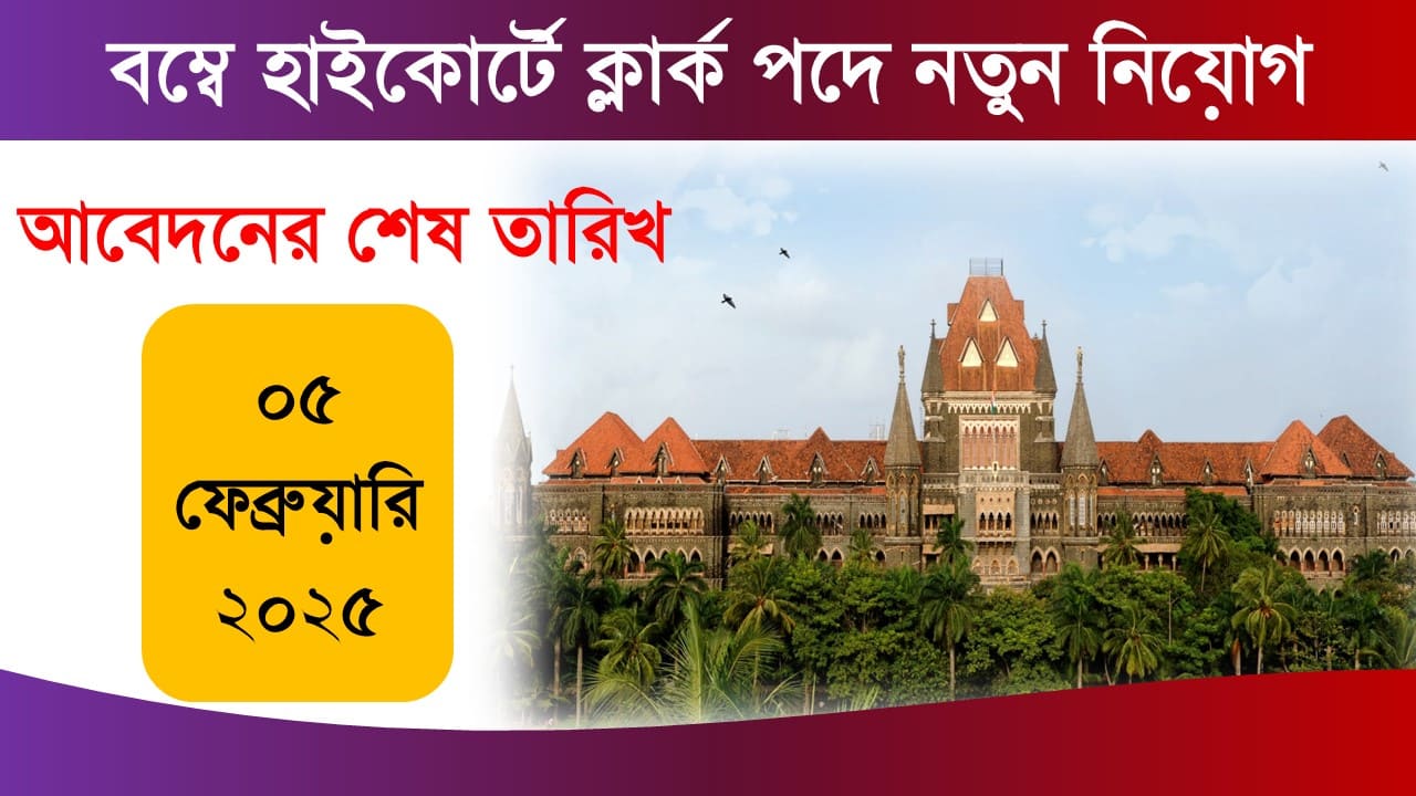 Clerk Job Vacancy 2025 Apply Now